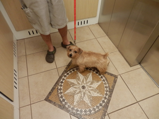 image-20110625105007.png