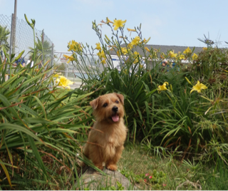 image-20110629012920.png