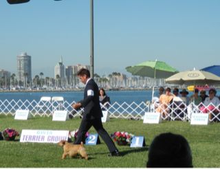 image-20110629012946.png