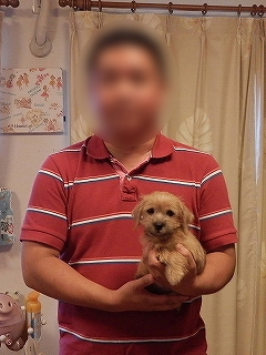 image-20111015134531.png