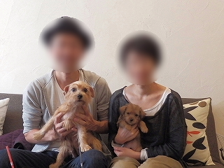 image-20111015134553.png