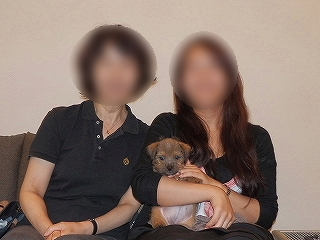 image-20111015134613.png