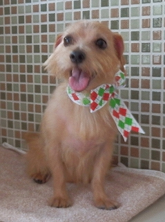 image-20111015135339.png
