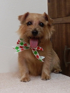 image-20111015135402.png