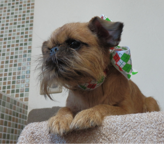 image-20111016195537.png