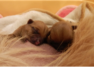 image-20111016201710.png
