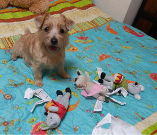 image-20111121225308.png
