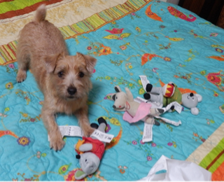 image-20111121225425.png