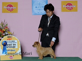 s-index_001_014-320.jpg