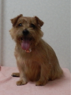 image-20110726005901.png