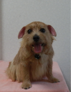 image-20110726112730.png