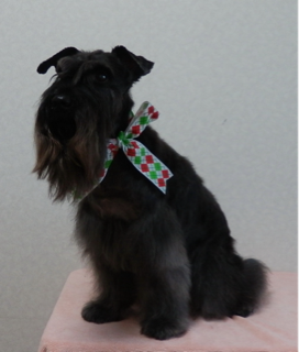 image-20110922000600.png