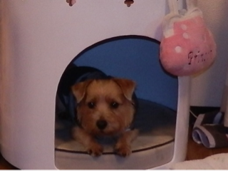 image-20111105174830.png