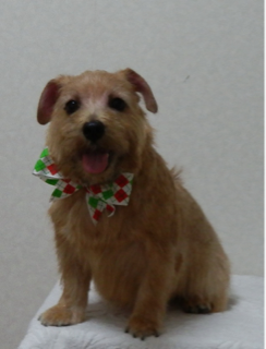 image-20111105175519.png